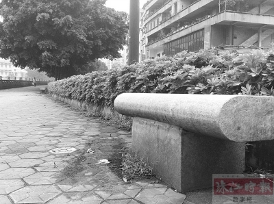 ■石凳修好了，市民可以在此休息纳凉了。