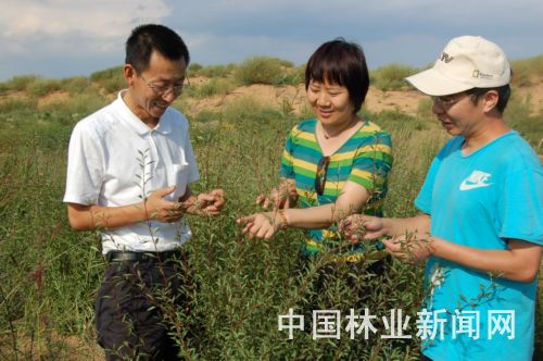 张应龙（左）正吸引社会力量参与治沙造林