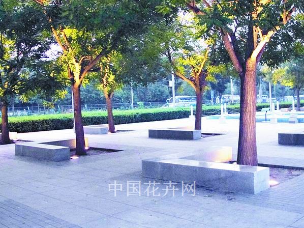 大树底下好乘凉 特色资材（图）