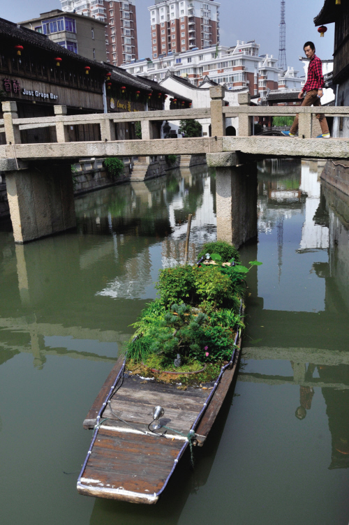 浙江：河道上漂浮的绿色景观 水上盆景