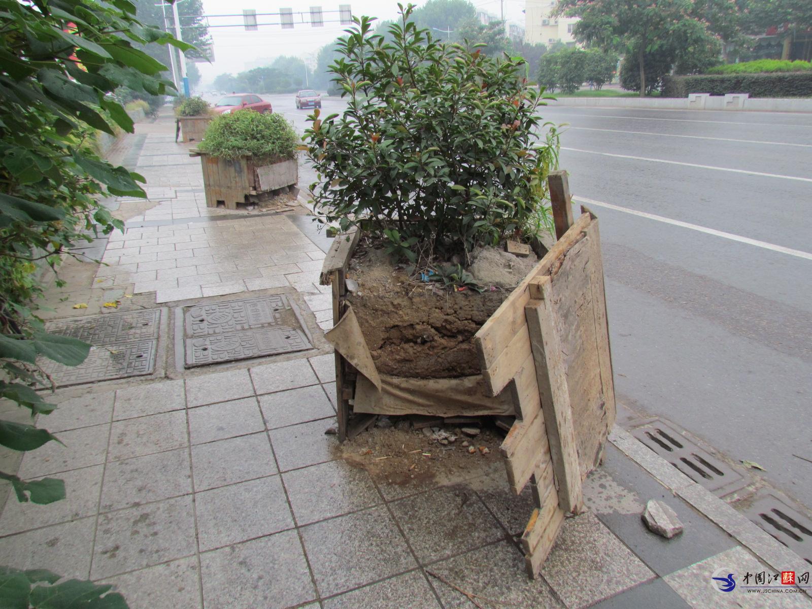 南京软件大道木质花坛破旧不堪无人管