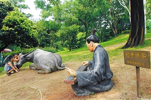 野生动物园内 围观“对牛弹琴”