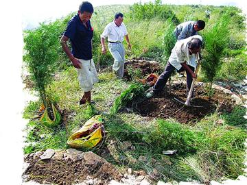 济南荒山造林绿化纪实：83支专业队播绿8.27万亩