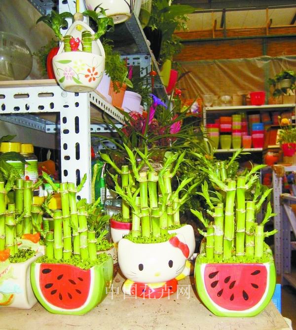 盆器以形取胜 盆钵器具（图）