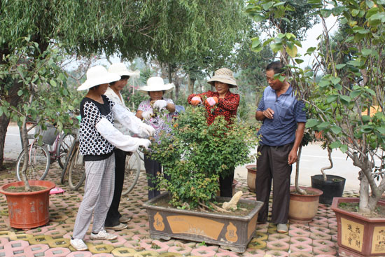 花卉技术员在指导妇女学习花卉种植技术