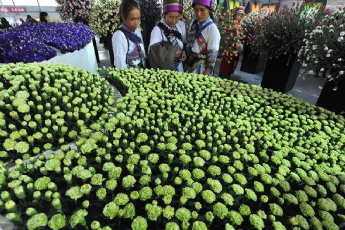 昆明国际花卉展上的康乃馨