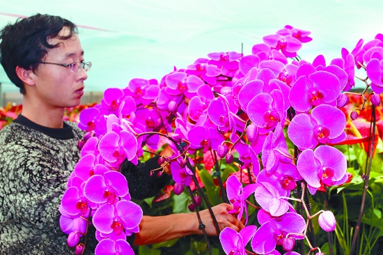 鲜花即将上市