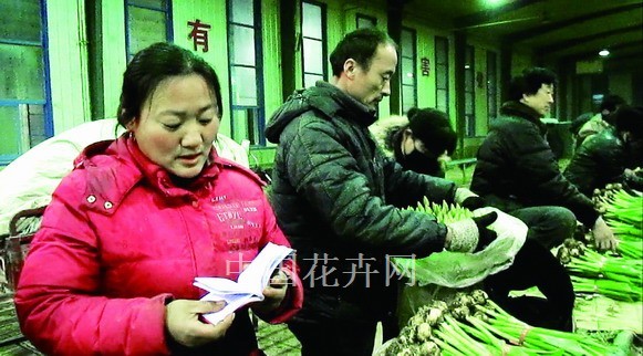 图为凌源花卉早市批发商在交易郁金香