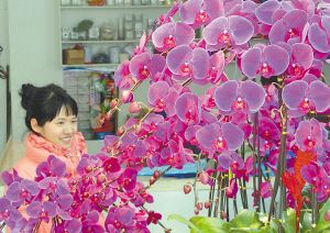 顾客在苏州养育巷一家鲜花店选购鲜花