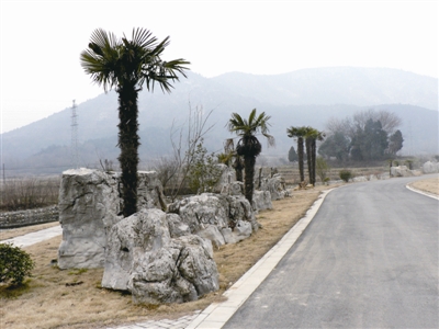 新建的奇石公园。