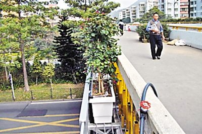 昨天，罗沙路罗沙莲塘跨线桥上，不锈钢花盆已安装完毕。