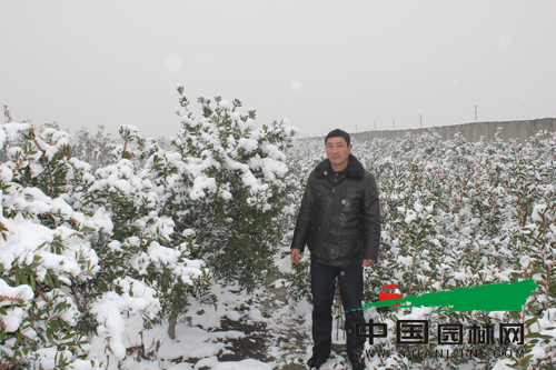 杭州临平名荟苗圃总经理俞民伟