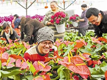 天津市第28届迎春花市开幕