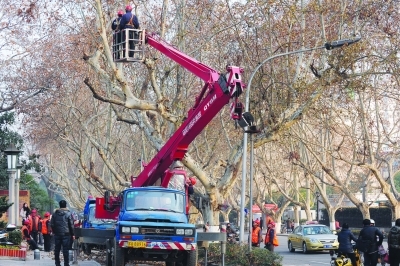 北京西路上，园林工人在修剪法桐。