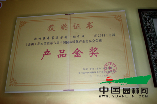 杭州临平名荟苗圃红千层获奖证书