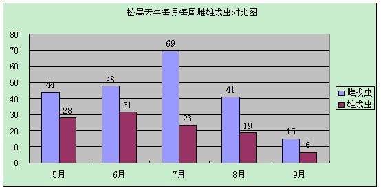 线虫病普查工作全面完成 恩施市发现一种新的樟树虫害-樟颈曼盲蝽