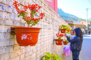 北京王平镇花盆上墙给车腾地儿 停车难题缓解