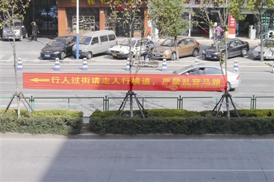浙江温州市区锦绣路中央隔离绿化带装铁栅栏