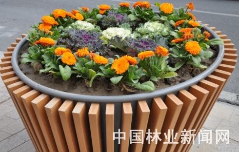 鲜花盛开的雨水花盆