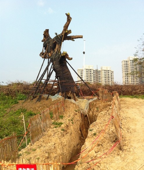 漳州西环城市片林公园元旦开园 主题雕塑落成