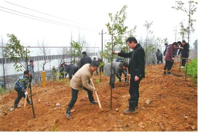 杭州萧山：浦阳开展绿化植树造林活动