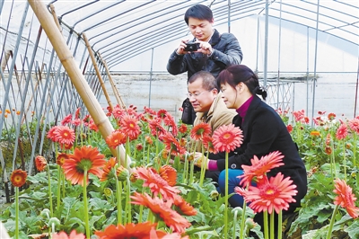 中国园林网2月25日消息:21日,几位市民在新罗区小池镇一花卉种植基地