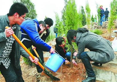 昨日，市委书记王敏在长清区归德镇与干部群众一起植树