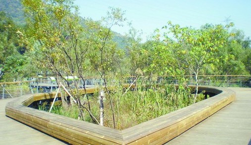 根据空间特点设计的围合式座椅，与木栈道同色同质地，尽显原生态韵味。
