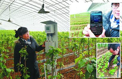 智能大棚亮相山东济南 短信预警实现远程监控