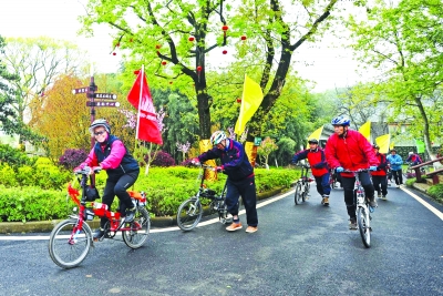 湖北：东西湖品郁金香 江夏逛赏花大道