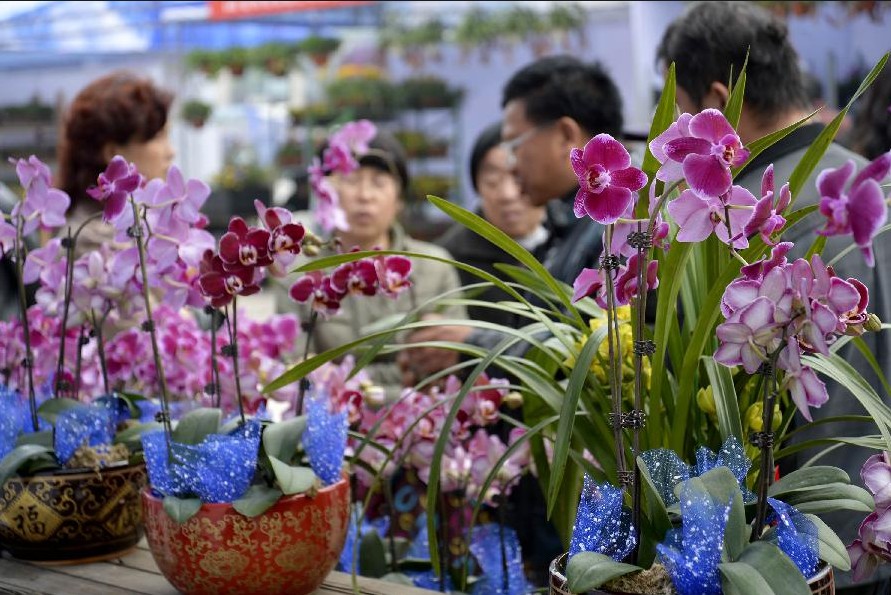 参观者在浙江省第四届鲜花展示展销会上选购花卉。