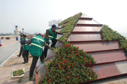 山东荣成：立体花架首次亮相城区滨海公园