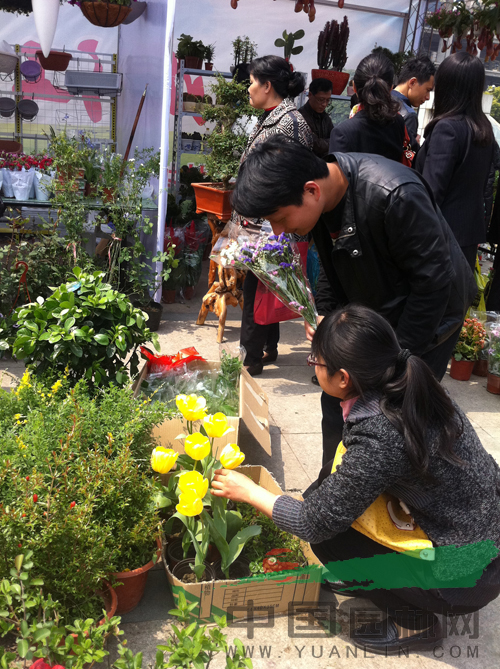 展会现场市民选购鲜花