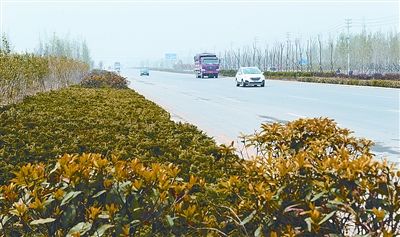 人车分流使生态廊道的通行更加快捷