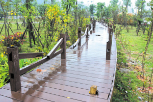 栈道遭到严重破坏