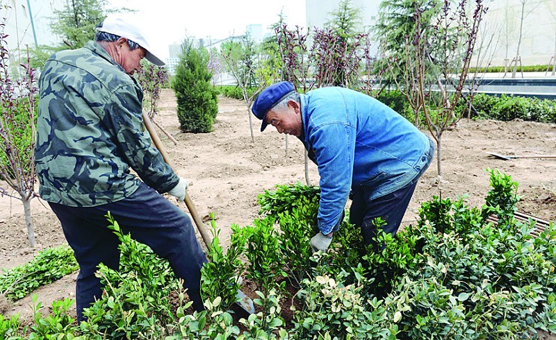 河北：石家庄市一个月栽植乔木15.4万株