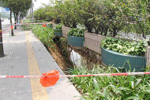 广东：佛山石砌河堤坍塌 绿化带成了空中花圃