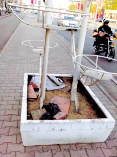 内蒙古包头钢铁大街盆景花池成了垃圾箱（图）