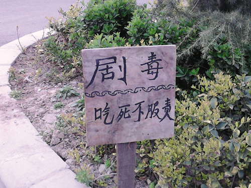 许昌市区延安路北段绿化带现“雷人”警示牌