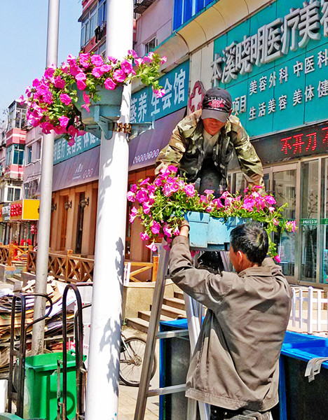绿化处职工在东明路安装盆栽