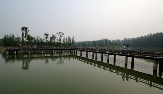 青岛：五里湖生态湿地公园 从洼地到风景区华丽变身