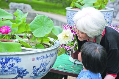 公园里已经有数百盆栽荷花盛开