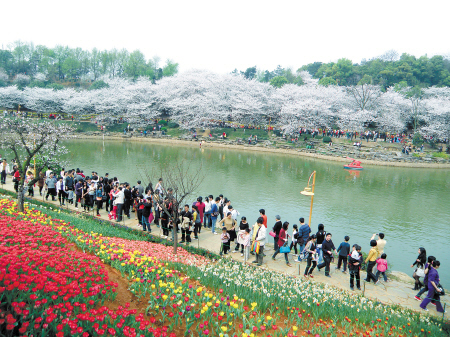 湖南：长沙雨花区23公里绿环串起两河一绿肺