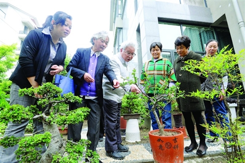 江苏：苏州姑苏区园艺专家进社区讲授植物知识