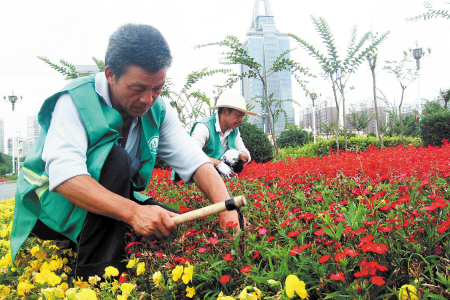 湖南长沙：27万株花草四季增色河西