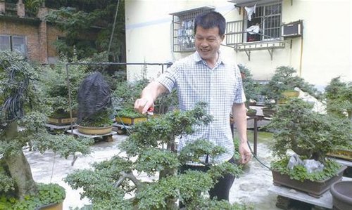 湖北黄石：5旬男子自掏数万绿化社区 义务植树300余棵