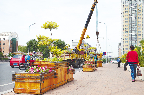 哈市欧式立体景观花箱为街路绿化提档升级