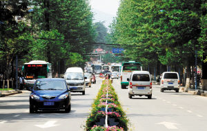 昆明：五华区70万盆鲜花街头盛放