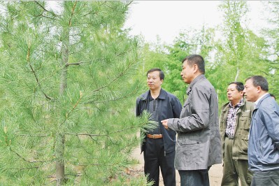 新林区委书记孙森（左一）深入碧洲林场西伯利亚红松种子基地调研