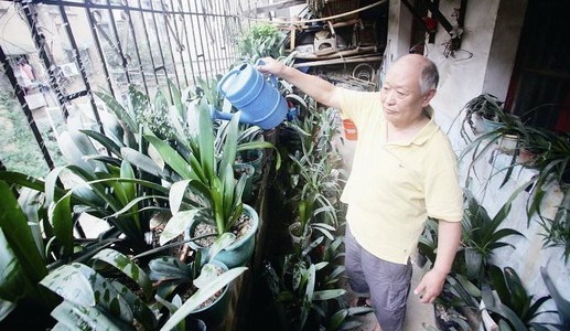 湖北：花甲老人养花二十载送出千余盆 